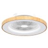 Mantra TIBET ventilatore da soffitto LED Legno scuro, Bianco, 1-Luce, Telecomando