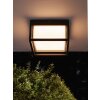 Mantra CHAMONIX Plafoniera da esterno LED Grigio, 1-Luce