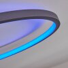 Moemoto Plafoniera LED Antracite, 1-Luce, Telecomando