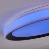 Gladstone Plafoniera LED Nero, Bianco, 1-Luce, Telecomando