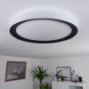 Gladstone Plafoniera LED Nero, Bianco, 1-Luce, Telecomando