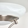 Mairoa Lampada da terra LED Nichel opaco, 2-Luci