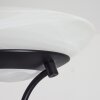 Mairoa Lampada da terra LED Nero, 2-Luci