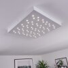 Cetara Plafoniera LED Grigio, 1-Luce