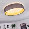 Elsa Plafoniera LED Bianco, 1-Luce