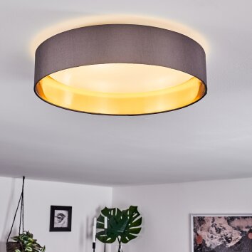 Elsa Plafoniera LED Bianco, 1-Luce