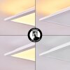 Badia Plafoniera LED Bianco, 2-Luci