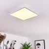 Badia Plafoniera LED Bianco, 2-Luci