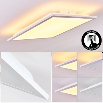 Badia Plafoniera LED Bianco, 2-Luci