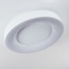 Casina Plafoniera LED Bianco, 1-Luce, Telecomando