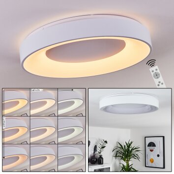 Casina Plafoniera LED Bianco, 1-Luce, Telecomando