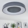 Casina Plafoniera LED Antracite, Bianco, 1-Luce, Telecomando