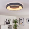 Casina Plafoniera LED Antracite, Bianco, 1-Luce, Telecomando