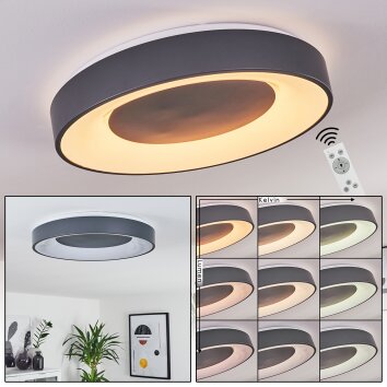 Casina Plafoniera LED Antracite, Bianco, 1-Luce, Telecomando