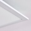 Gallitos Plafoniera LED Bianco, 1-Luce, Telecomando, Cambia colore