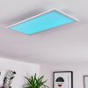 Gallitos Plafoniera LED Bianco, 1-Luce, Telecomando, Cambia colore