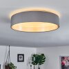 Elsa Plafoniera LED Bianco, 1-Luce