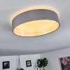 Elsa Plafoniera LED Bianco, 1-Luce