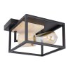 Globo HAGAR Plafoniera Legno chiaro, Nero, 1-Luce