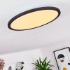 Nexo Plafoniera LED Nero, 1-Luce, Telecomando