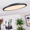 Nexo Plafoniera LED Nero, 1-Luce, Telecomando