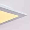 Nexo Plafoniera LED Bianco, 1-Luce