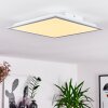 Nexo Plafoniera LED Bianco, 1-Luce