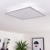 Nexo Plafoniera LED Bianco, 1-Luce