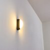 Arvier Applique da esterno LED Nero, 1-Luce