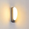 Arvier Applique da esterno LED Grigio, 1-Luce