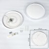 Fondaco Plafoniera LED Bianco, 1-Luce, Telecomando, Cambia colore