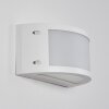 Pompeano Applique da esterno LED Bianco, 1-Luce