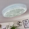 Suno Plafoniera LED Trasparente, chiaro, Bianco, 1-Luce, Telecomando