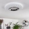 Roseto Plafoniera LED Cromo, Trasparente, chiaro, Bianco, 1-Luce, Telecomando