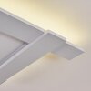 Cuchara Plafoniera LED Bianco, 1-Luce