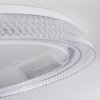 Feletto Plafoniera LED Trasparente, chiaro, Bianco, 1-Luce, Telecomando