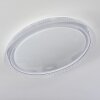 Feletto Plafoniera LED Trasparente, chiaro, Bianco, 1-Luce, Telecomando