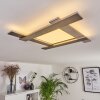 Cuchara Plafoniera LED Nichel opaco, 1-Luce