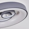 Gabbiana Plafoniera LED Grigio, Bianco, 1-Luce, Telecomando