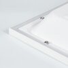 Nexo Plafoniera LED Bianco, 2-Luci