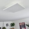 Nexo Plafoniera LED Bianco, 1-Luce