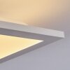 Nexo Plafoniera LED Bianco, 1-Luce
