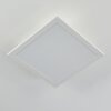 Nexo Plafoniera LED Bianco, 1-Luce