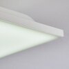 Cor Plafoniera LED Bianco, 1-Luce, Telecomando