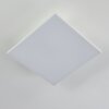 Cor Plafoniera LED Bianco, 1-Luce, Telecomando