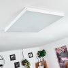 Pedemonte Plafoniera LED Bianco, 1-Luce