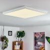 Pedemonte Plafoniera LED Bianco, 1-Luce