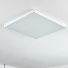 Pedemonte Plafoniera LED Bianco, 1-Luce