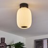 Sebep Plafoniera LED Nero, 1-Luce