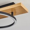 Pompu Plafoniera LED Legno chiaro, Nero, 2-Luci